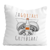 PODUSZKA PREZENT HOBBY GRZYBY GRZYBIARZ GRZYBOBRANIE UPOMINEK