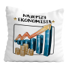 UPOMINEK PODUSZKA PREZENT ZAWÓD  EKONOMISTA MAKLER