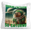 Poduszka Bobrini Cactusini Italian Brainrot Kaktusini Prezent