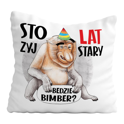URODZINY PREZENT PODUSZKA NOSACZ BĘDZIE BIMBER?