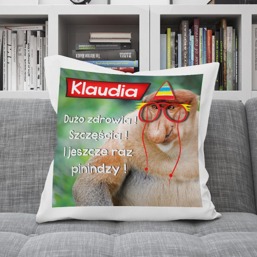 PODUSZKA PREZENT NOSACZ W OKULARACH URODZINY IMIĘ ŻYCZENIA