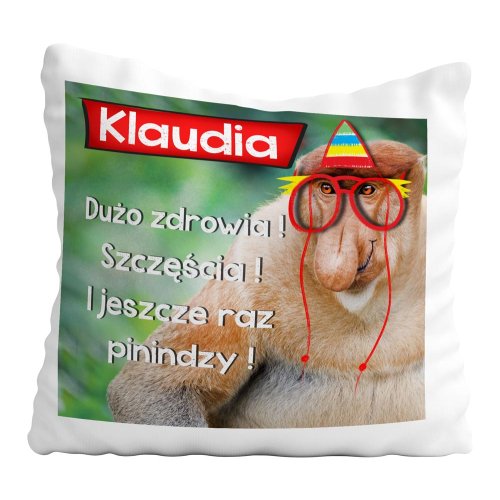 PODUSZKA PREZENT NOSACZ W OKULARACH URODZINY IMIĘ ŻYCZENIA
