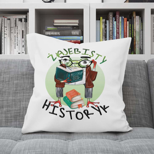 Poduszka Prezent Praca Zawód Żajebisty HISTORYK